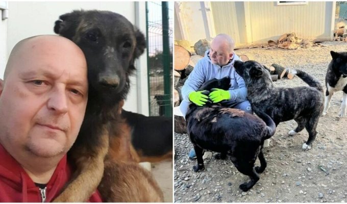 Мужчина из Сербии заботится о тысячах бездомных животных (23 фото)