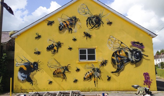 Спасение пчел посредством стрит-арта (11 фото)