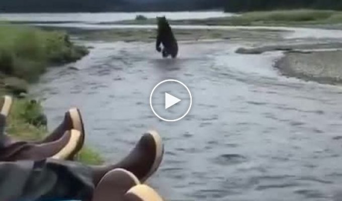 Рыбаки никак не отреагировали на медведя, который пробежал мимо них