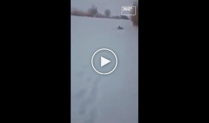 Охотник спас провалившихся под лёд кабанов