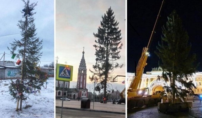 "Какой год - такая елка": в российских городах жалуются на зеленых новогодних калек (7 фото + 1 видео)