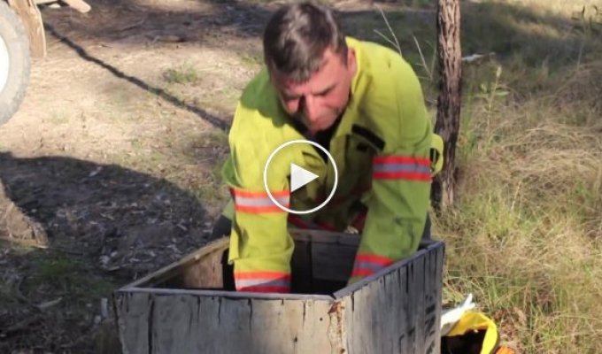 Пожарный спас щенка и подарил ему прекрасную жизнь