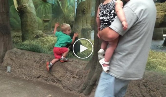 Мальчик играет в прятки с гориллой