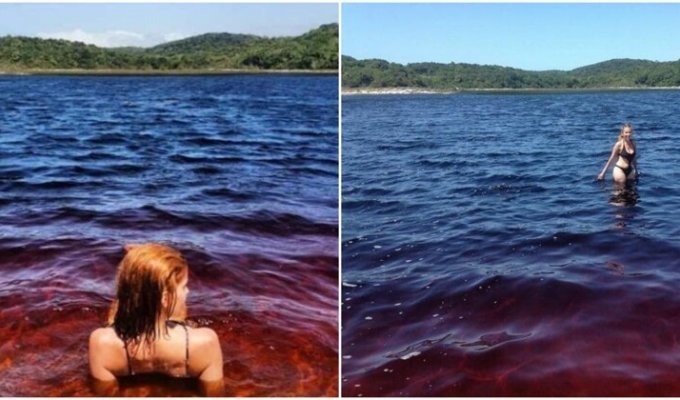 Озеро кока-колы, на которое съезжаются туристы со всего мира (4 фото)