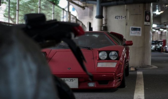 Забытый бык на парковке в Токио (14 фото)