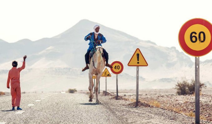 Чего нельзя делать в Марокко (11 фото)