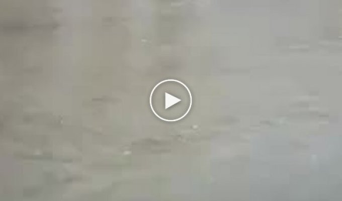 Затопленная улица и водитель автобуса