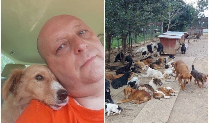 Мужчина из Сербии спасает сотни бродячих собак с улицы (25 фото)