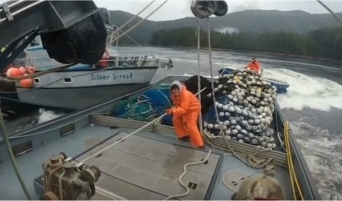 Рыбацкие войны на Аляске (4 фото + 2 видео)