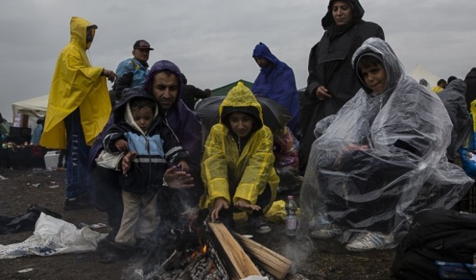 На что надеются беженцы, бегущие в Евросоюз (34 фото)