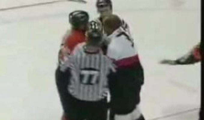 Самые зрелищные драки в хоккее