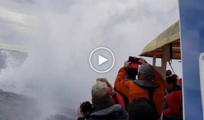Туристы были ошеломлены, когда вблизи их лодки из воды выпрыгнул огромный горбатый кит