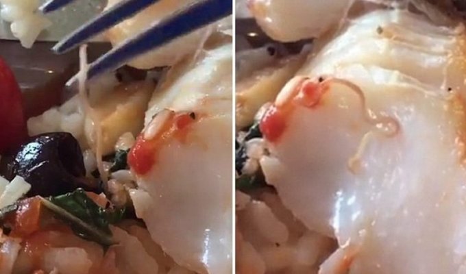 В дорогом ресторане посетителям подсунули рыбу с червяками (2 фото + 2 видео)