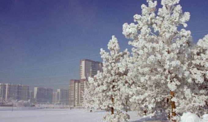 В России выпало 40 см снега!!! Смотрим!