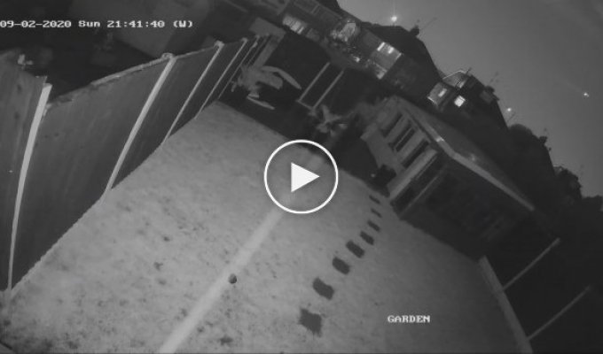 Удар молнии в британский самолет попал на видео