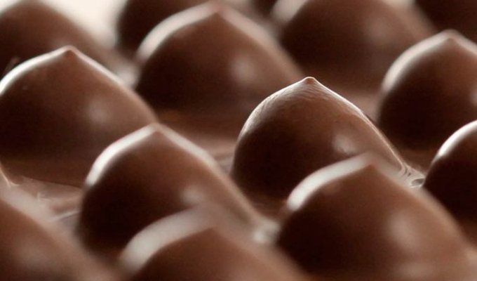 Titses Chocolate - провокационный шоколад в форме женской груди (12 фото)