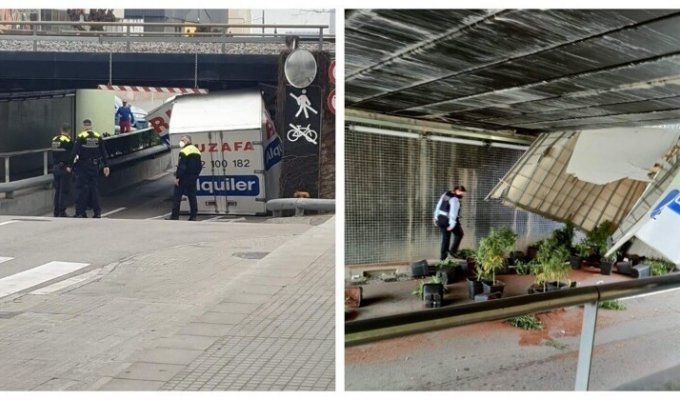 Барселонский "мост глупости" поймал грузовик с саженцами  марихуаны (7 фото)