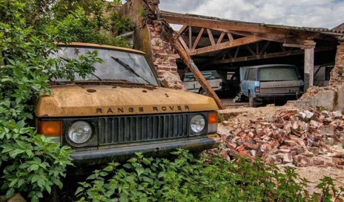 В Нидерландах обнаружили «кладбище» заброшенных Range Rover и Mercedes-Benz (5 фото)