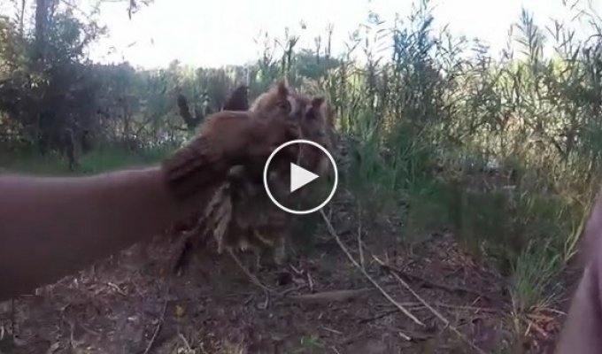Парень спасает сову от лески