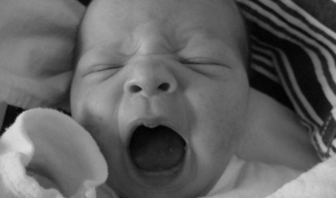Почему люди зевают? (12 фото)