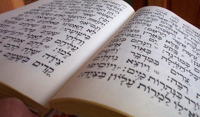 12 интересных фактов о евреях, которые очень похожи на выдумку (13 фото)