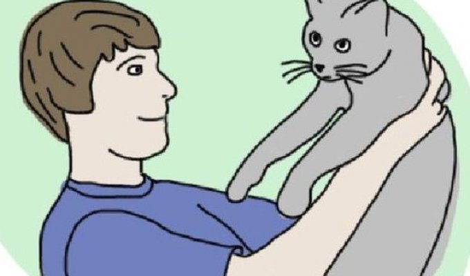 Как правильно купать кота в ванной (1 картинка)