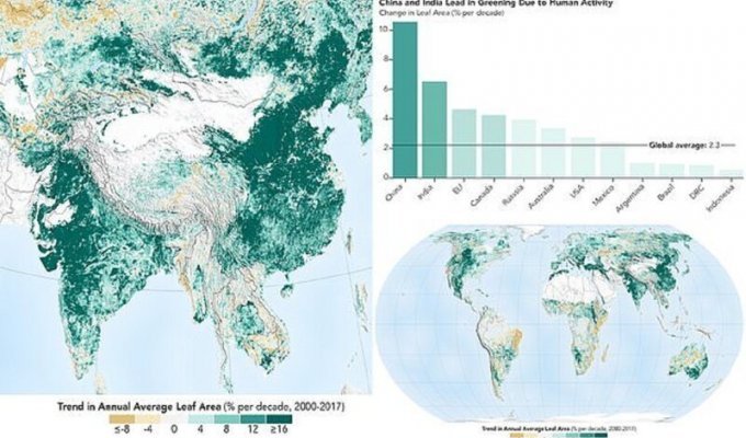 Планета зеленеет стараниями Китая и Индии (4 фото)