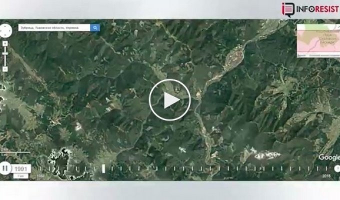 Исчезновение лесов Карпат показали со спутника