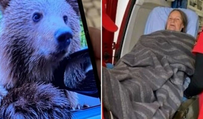 В Румынии туристка попала в больницу после встречи с медведем (4 фото + 1 видео)