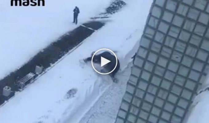 В Екатеринбурге слон искупался в снегу