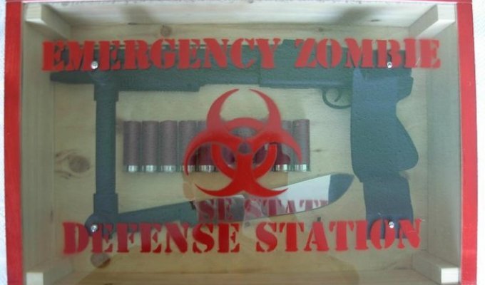 Экстренный набор в случае атаки зомби (13 фото)