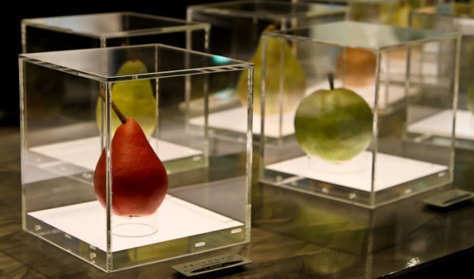 Японский Музей груш (33 фото)