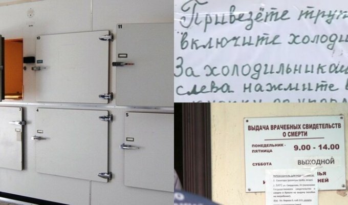 "Привезете труп - включите холодильник!": в морге Биробиджана ввели самообслуживание (3 фото + 1 видео)