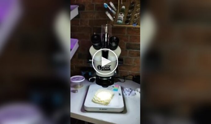 Сухая лапша быстрого приготовления под микроскопом: вряд ли вам захочется его есть