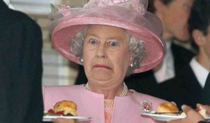 13 правил британской короны которые не не по зубам даже королеве (13 фото)