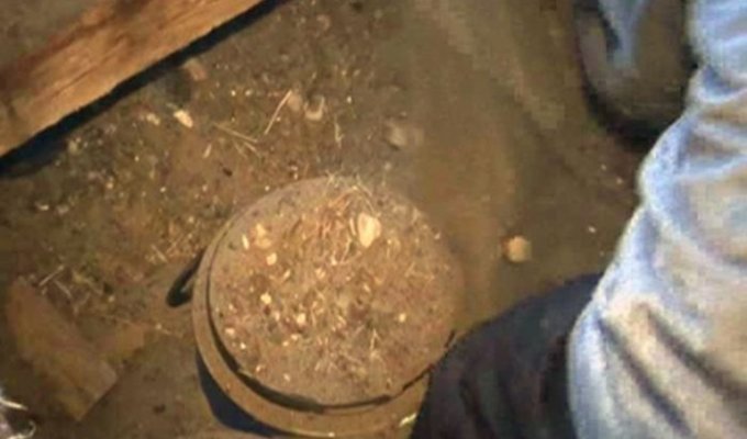Житель Перми хранил 123 кг героина в сарае с баранами (4 фото)