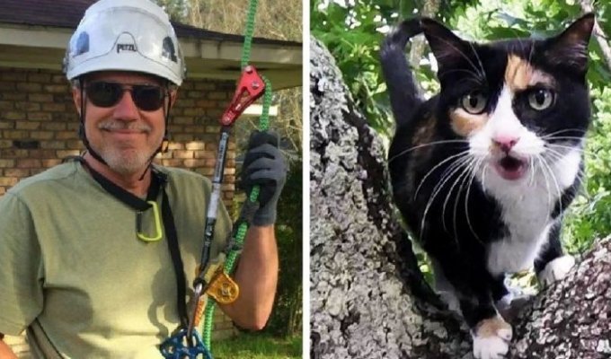 Этот мужчина занялся альпинизмом, и вот уже как 4 года спасает котиков (11 фото)