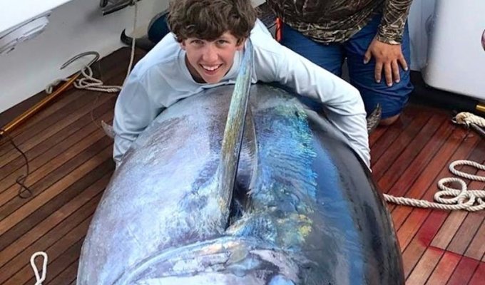 Мальчик весом 52 кг словил тунца весом 378 кг! (4 фото)