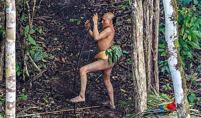Дикое племя в лесах Амазонии в объективе бразильца (10 фото)