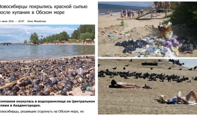 Купаться запрещено! Только в страшном сне можно оказаться на таких пляжах России (13 фото)