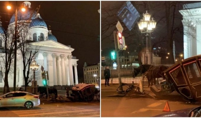 В Санкт-Петербурге карета с лошадьми попала в аварию на дороге (2 фото)