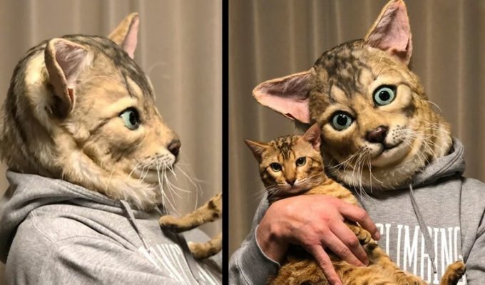 Японцы создают реалистичные маски кошек для их хозяев (7 фото)