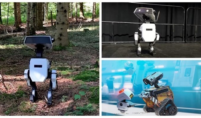 Диснеевские роботы шагнули с экрана в реальный мир (6 фото + 2 видео)