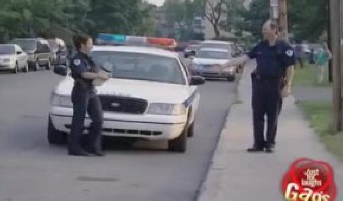 Влюбленные полицейские шокируют водителей