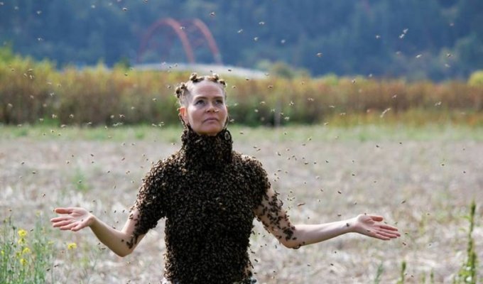45-летняя американка носит на теле 12 тысяч пчел, чтобы исцелять людей (7 фото + 1 видео)