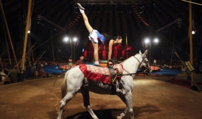 Индийский цирк «Рэмбо» (11 фото)