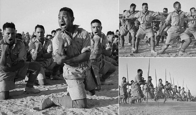 Как солдаты-маори танцевали перед британским королем (10 фото)