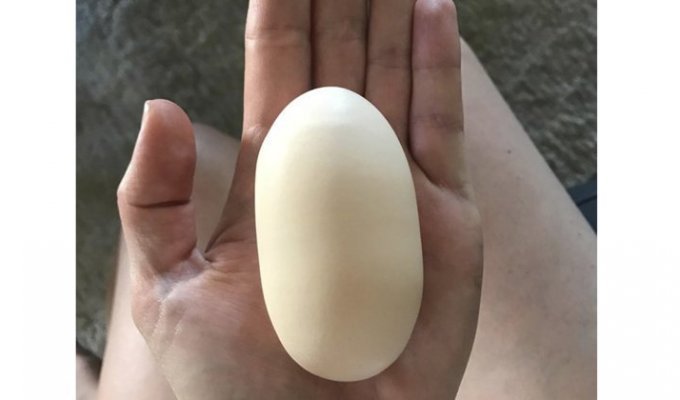 Курица снесла идеальные яйца для перфекционистов (2 фото)