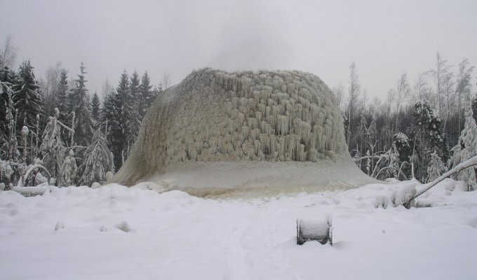 Ледяная семья в Эстонии (3 фото)