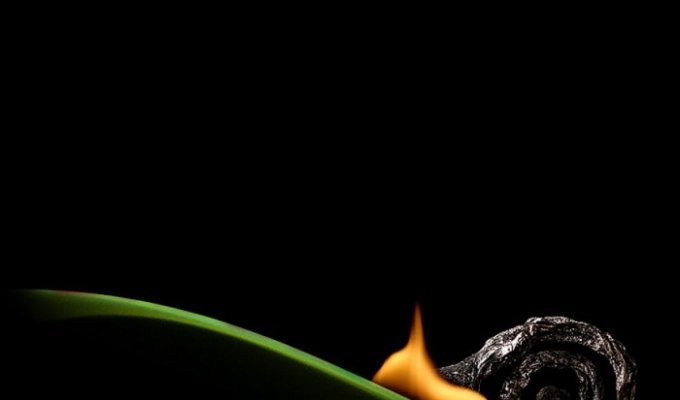 Искусство сожженных спичек в творчестве Станислава Аристова (25 фото)